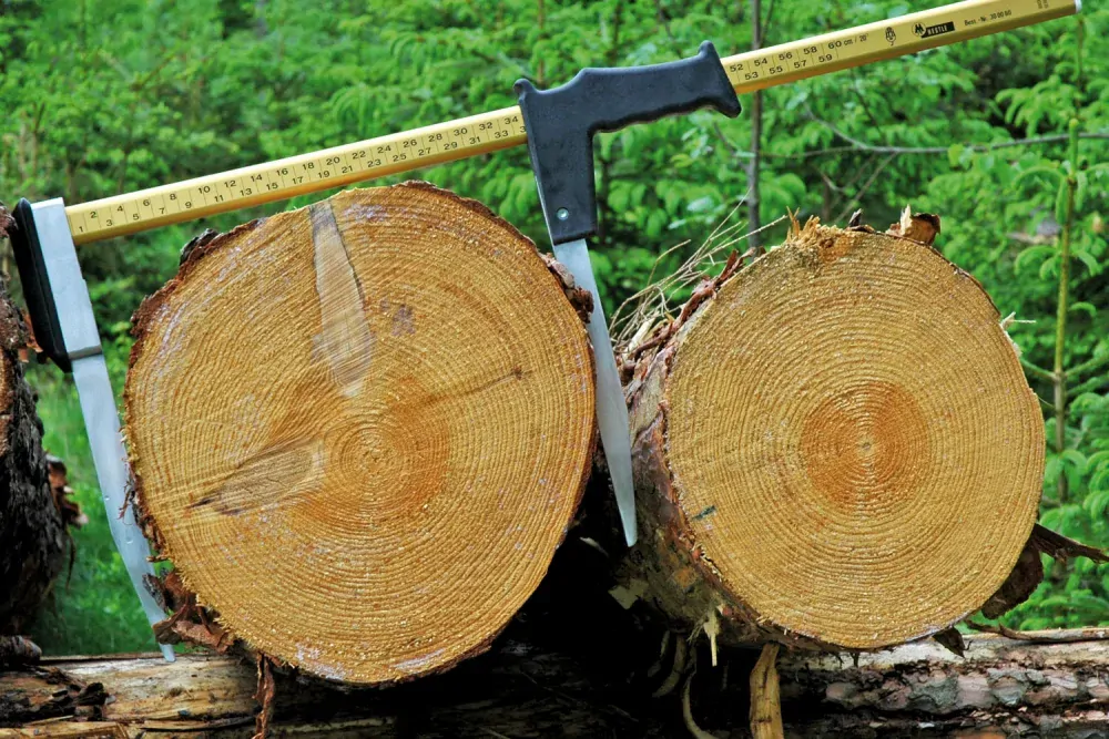 Lesnická průměrka s dělení v cm Nestle Waldmeister 100 cm (IT-54110)