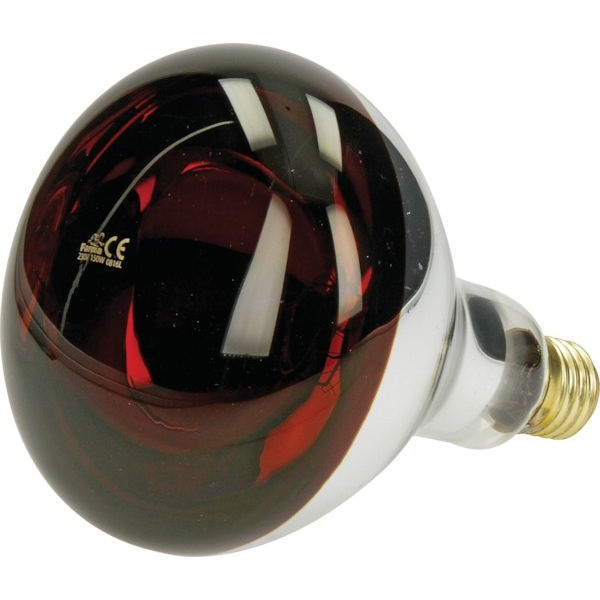 Infračervená žárovka HardGlass 150W červená Kerbl (KP-22244KER)