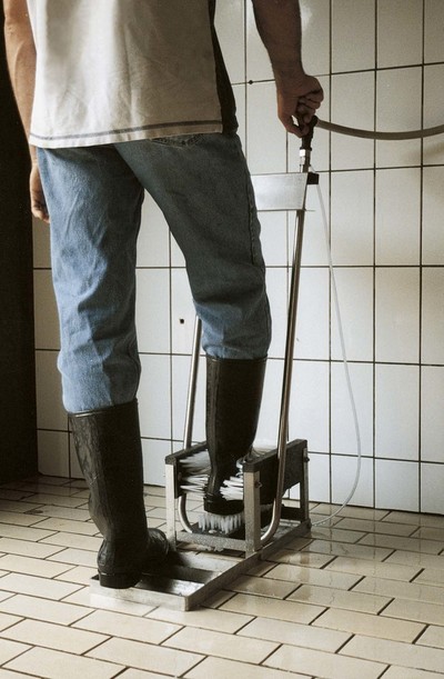 Čistič holínek z nerezové oceli Vink (K1641023002)