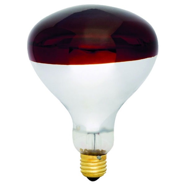 Infračervená žárovka HardGlass 150W červená Kerbl (KP-22244KER)