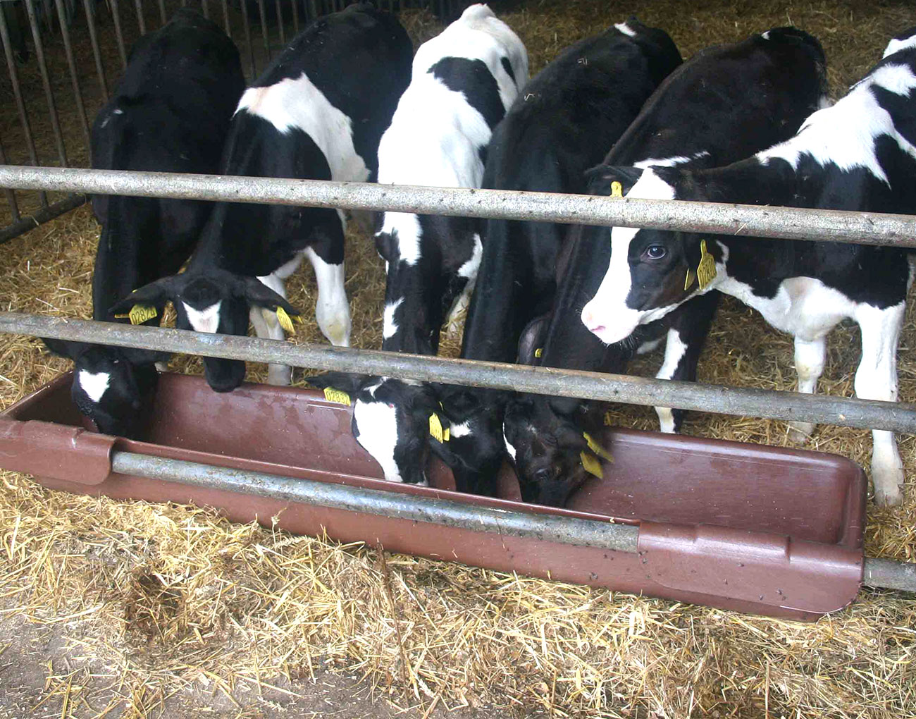 Závěsné koryto pro ovce, 200 cm, 100 l Ok Plast (K1620100020)