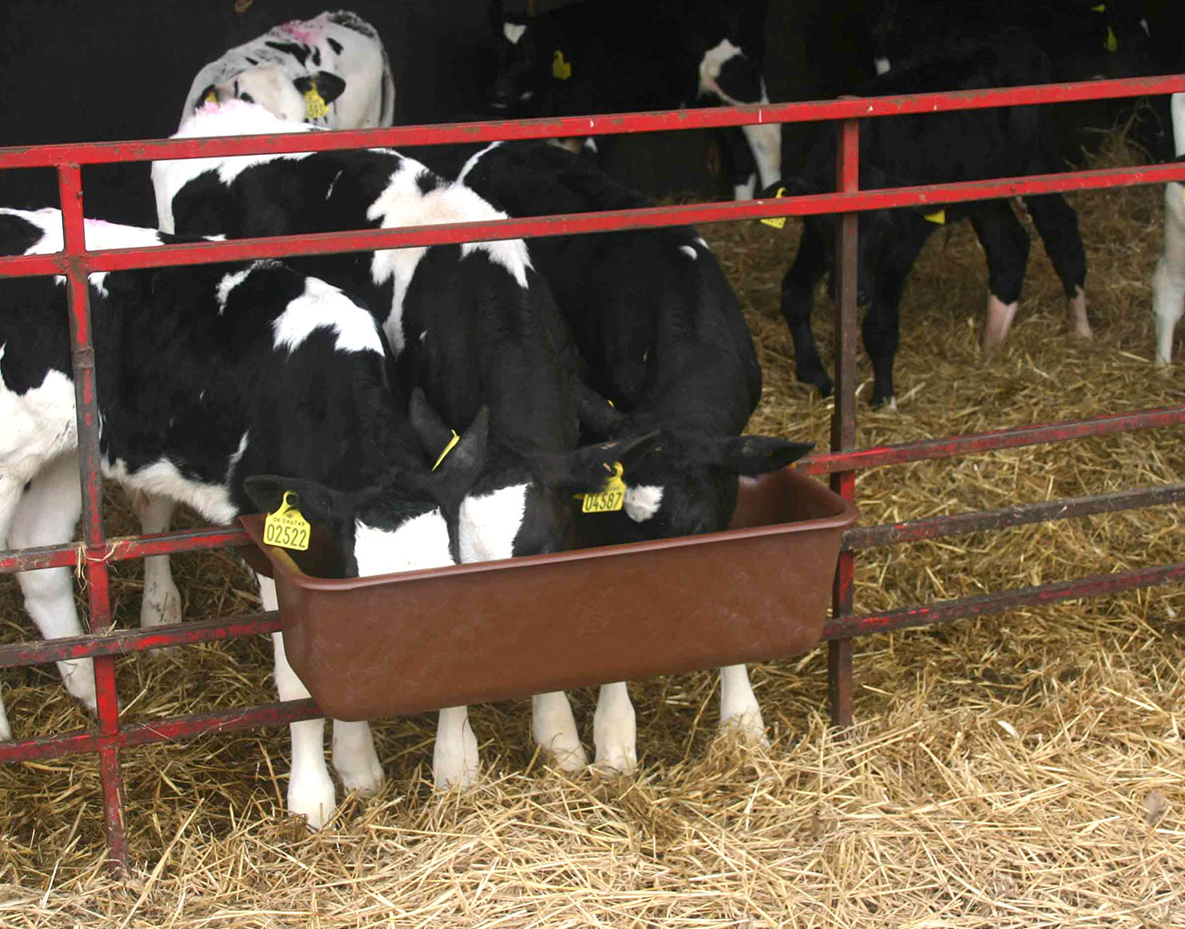 Závěsné koryto pro telata, 80 cm, 32 l Ok Plast (K1620100205)