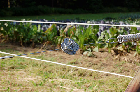 Rotující napínák ocelového ohradníkového drátu 3 ks AKO (44513031)