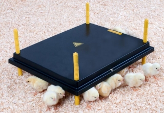 Topná deska pro kuřata s regulací 40x50 WP-50R (LWP50R)